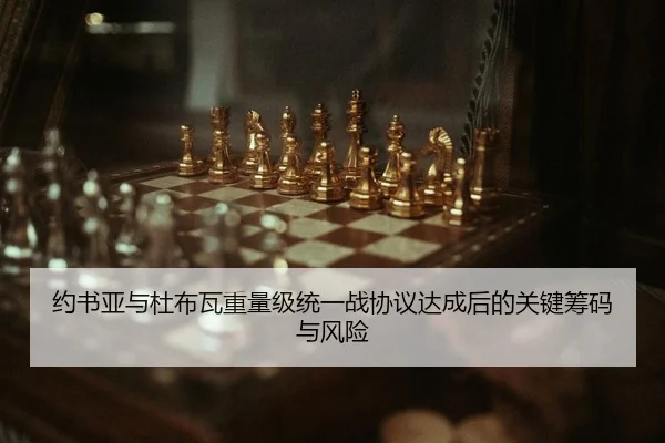 yue-shu-ya-yu-du-bu-wa-zhong-liang-ji-tong-yi-zhan-xie-yi-da-cheng-hou-de-guan-jian-chou-ma-yu-feng-xian-2-414.jpg
