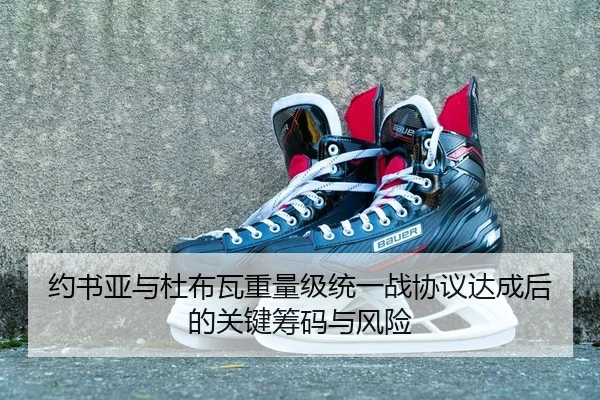 约书亚与杜布瓦重量级统一战协议达成后的关键筹码与风险